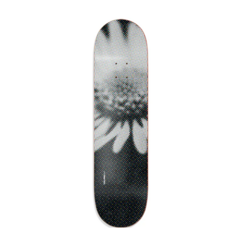 imagem SHAPE COLORS MAPLE FLOWERDELIC 
